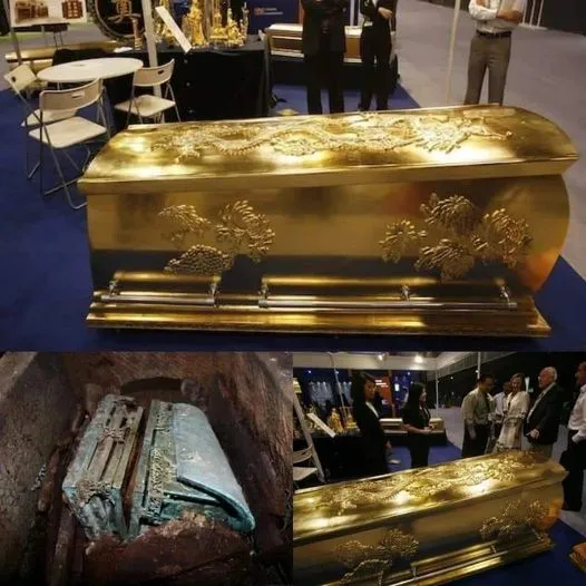 461755608_10233844540476609_6333784878427397858_n