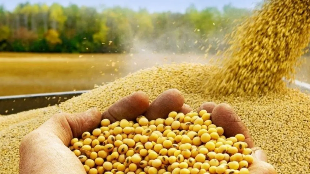 68a34de5199b2_992_558!